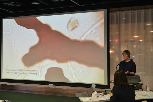 Heather presenting in front of an audience with a screen behind her