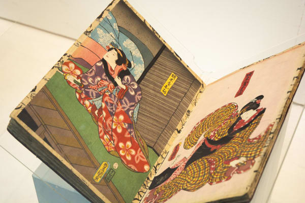 Inside the CSM Museum and Study Collection Short Course | On campus