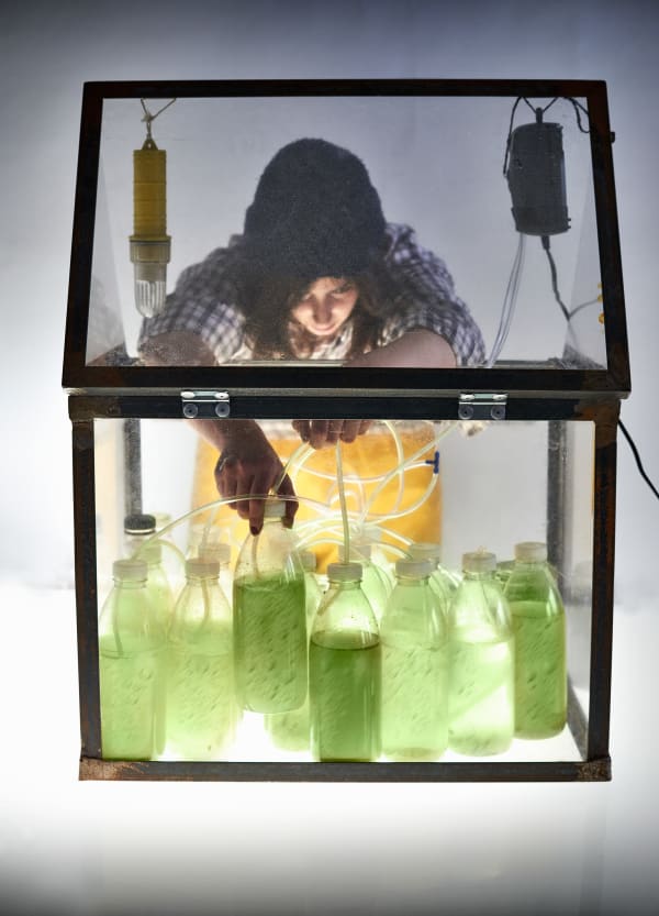 Photo of a woman leaning into a large glas box adjusting bottles with green liquids inside and tubes coming out of the tops