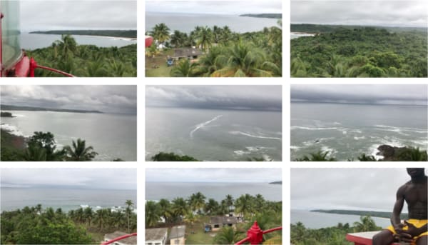 A grid of nine photos showing a forest of palm trees on a coast, in some houses are visible and in one a seated man in yellow shorts