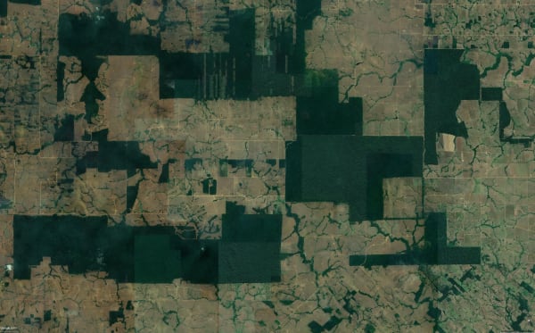 Satellite image showing a deforested territory in Amazonia. Google Earth, 2021.