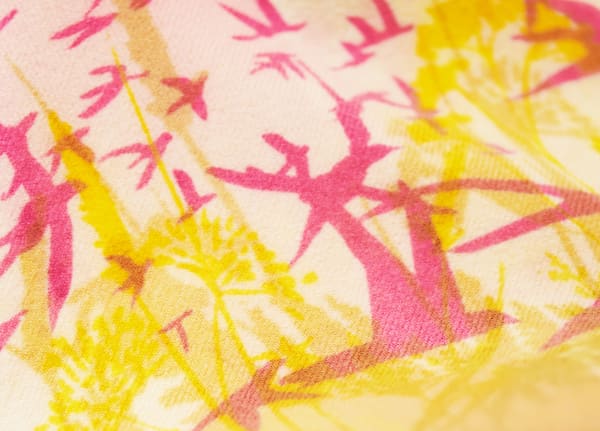 Rewilding Textiles Collection 6