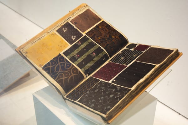 Inside the CSM Museum and Study Collection Short Course | On campus