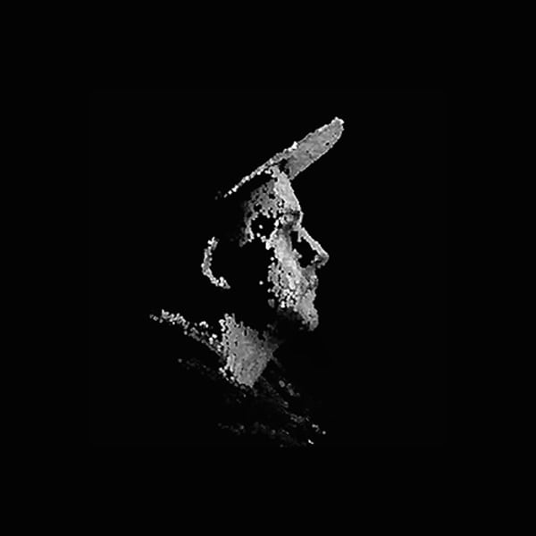 black and white digital glitch side profile image.
