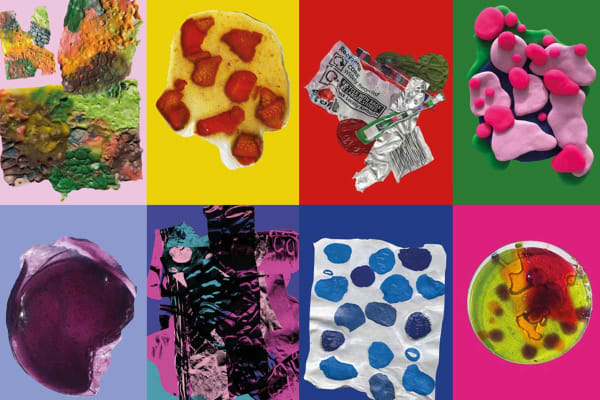 Colourful images of food waste