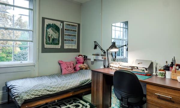 Standard (shared bathroom) room with single bed, large desk, full length mirror, bright window with view of tree.