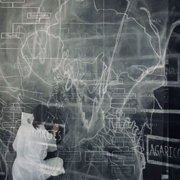 Black and white image of a figure drawing onto a blackboard in chalk