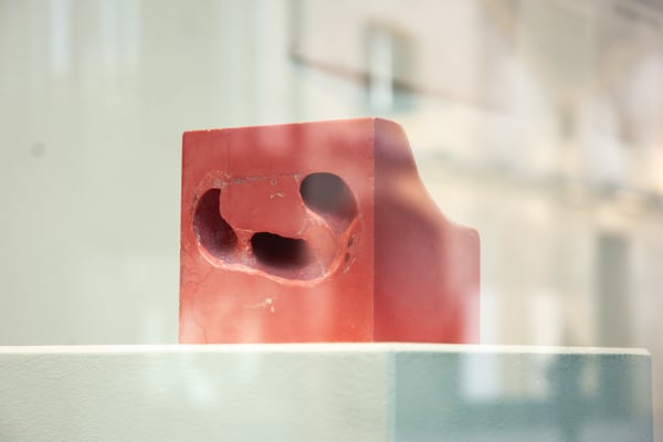 Inside the CSM Museum and Study Collection Short Course | On campus