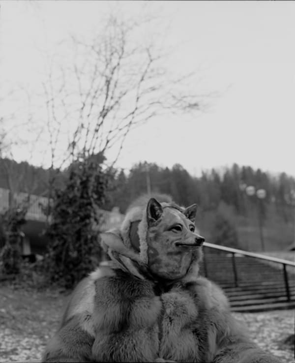 black and white photo of model outdoors, dressed in a large fur coat, with a wolf mask.
