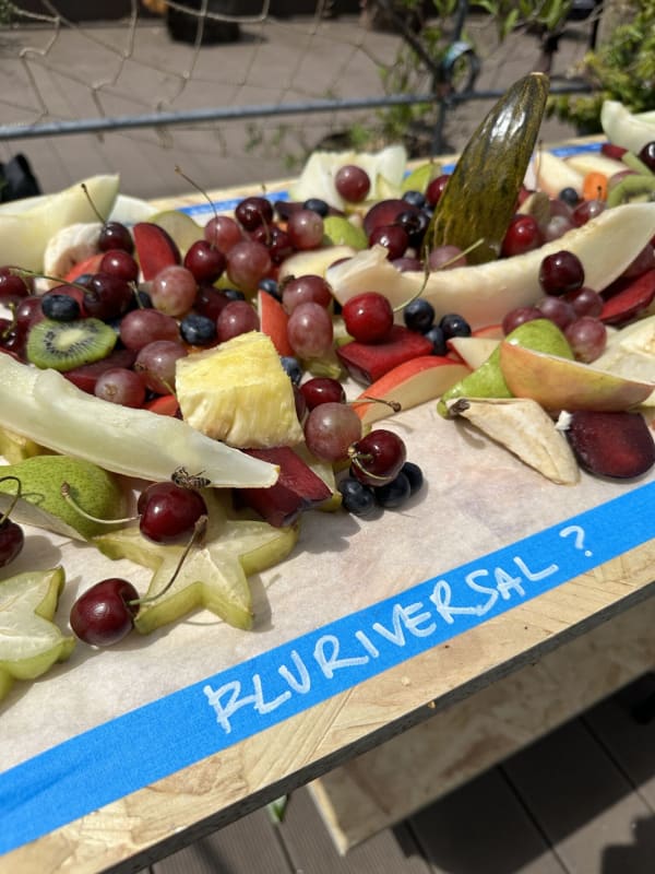 A fruit display on a wooden surface with cherries, grapes, pineapple chunks, starfruit, slices of apple, kiwi, pear, melon, banana, blueberries, plums, and a small cucumber or gourd placed vertically. The fruit is laid out on a sheet of parchment paper over a wood-textured board.  A piece of blue painter’s tape is affixed to the edge of the board, with the handwritten word “PLURIVERSAL?” written in white marker.