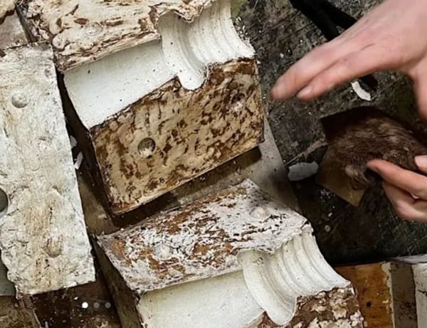 Close up of ceramic casts