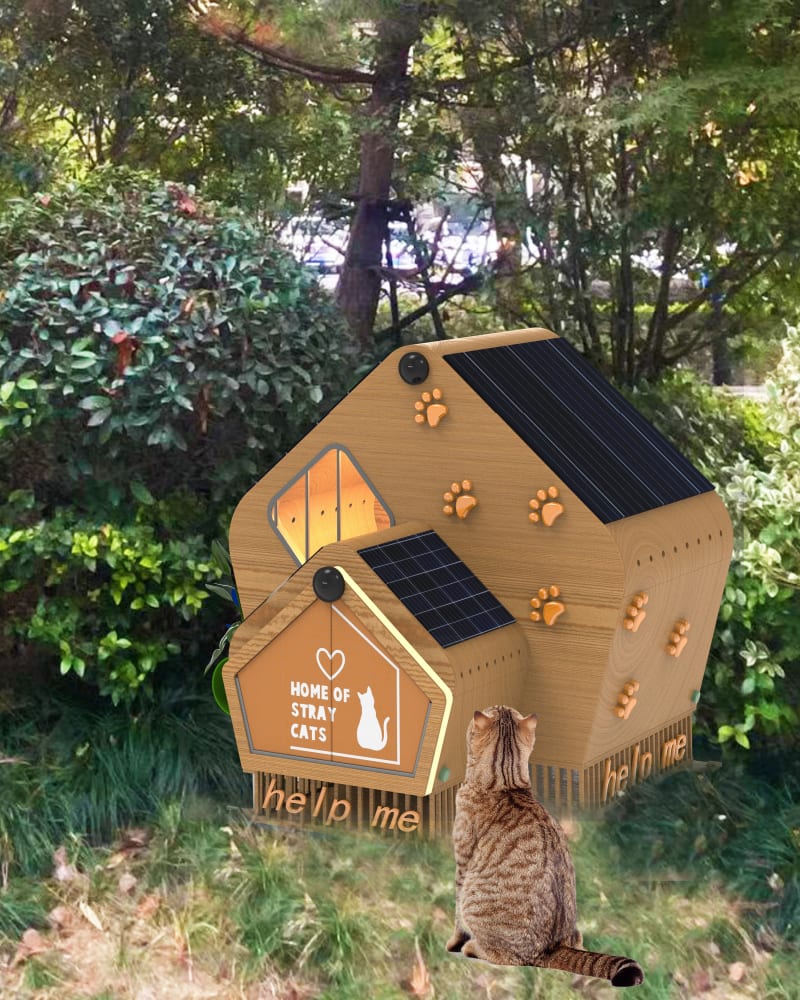 Stray cat shelters shop near me