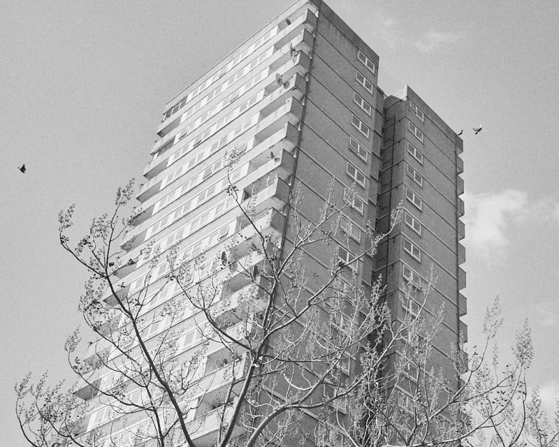 Black and white photograph of London tower block surrounded by trees and flying pigeons.