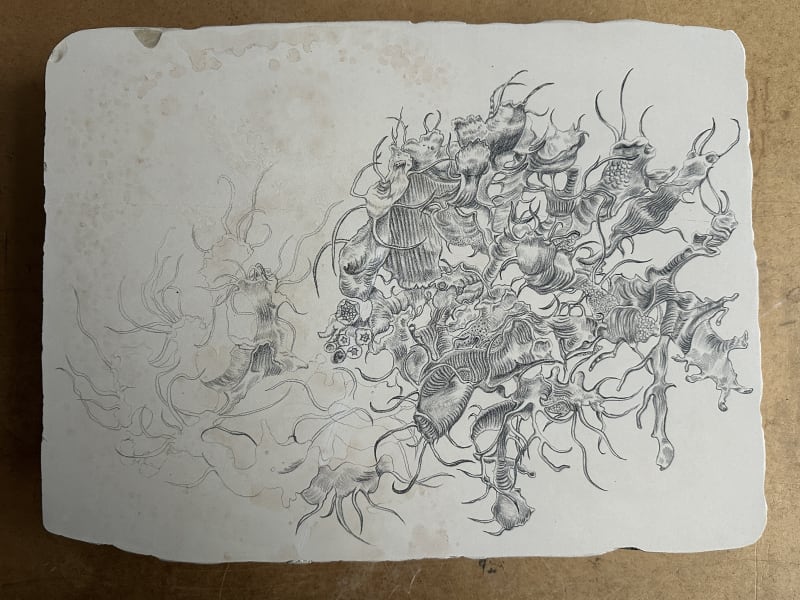 Stone Lithography drawing process.