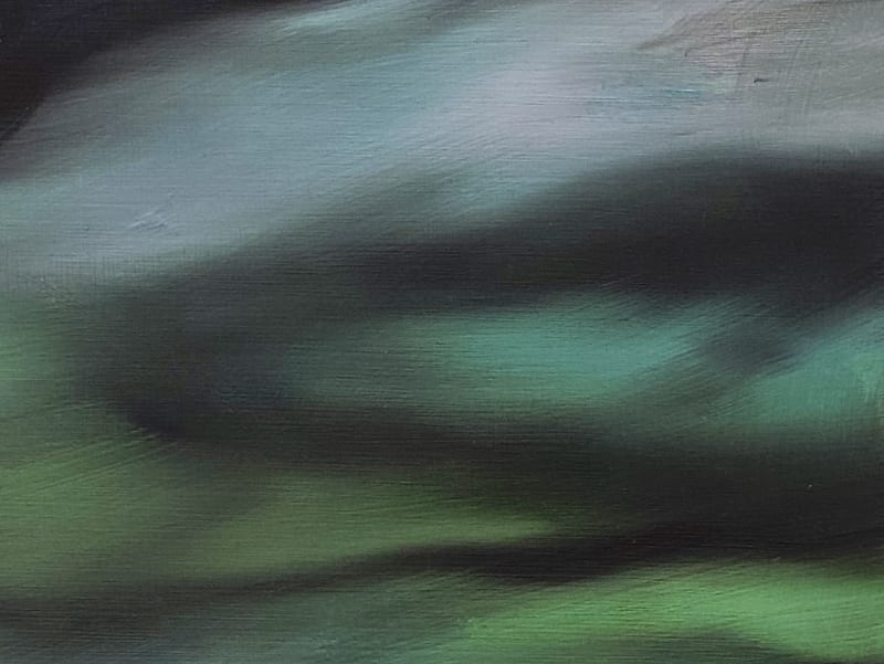 The random blocks of colour consisting of black blue and green are actually a new interpretation of hair.
