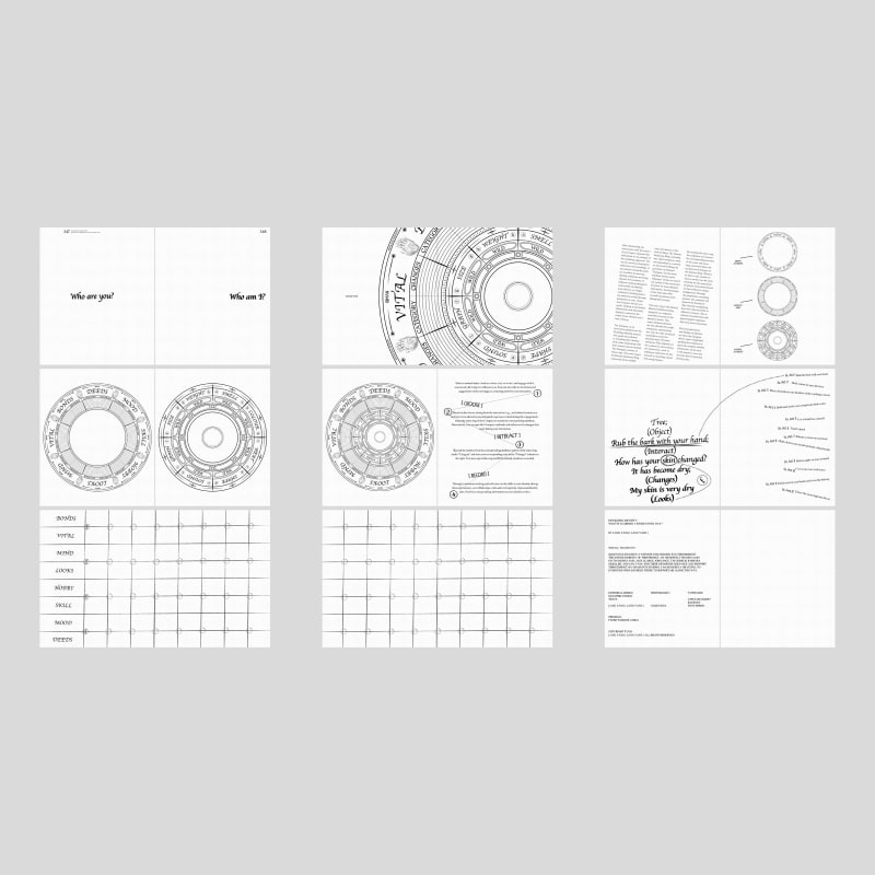 Selected pages from the inner content of the diary book.
