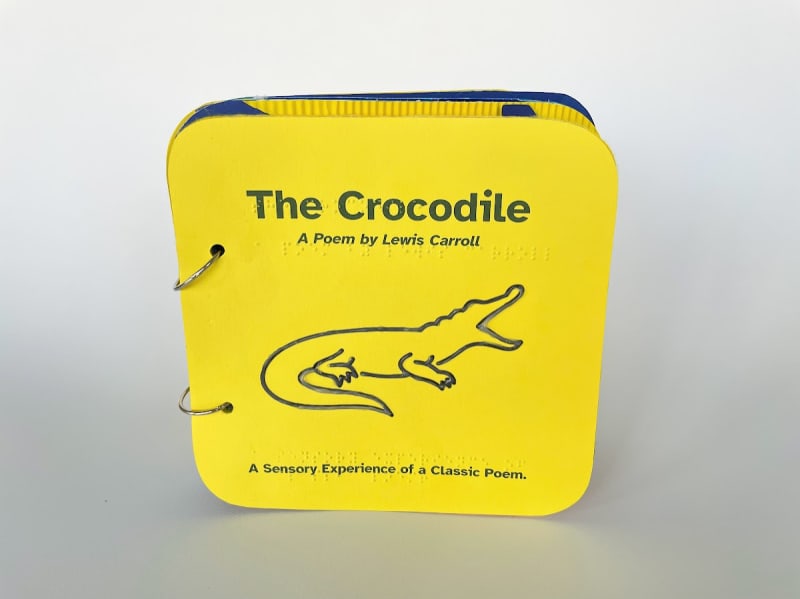 Discover the world of ‘The Crocodile’ by Lewis Carroll in a whole new way with this tactile, sensory book. Designed with visually impaired children in