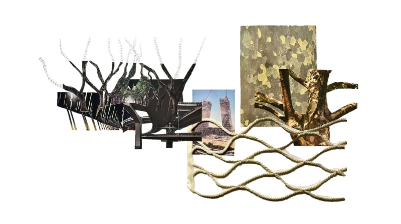 collage with trees are architecture with sample