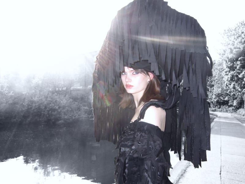 the crow lady