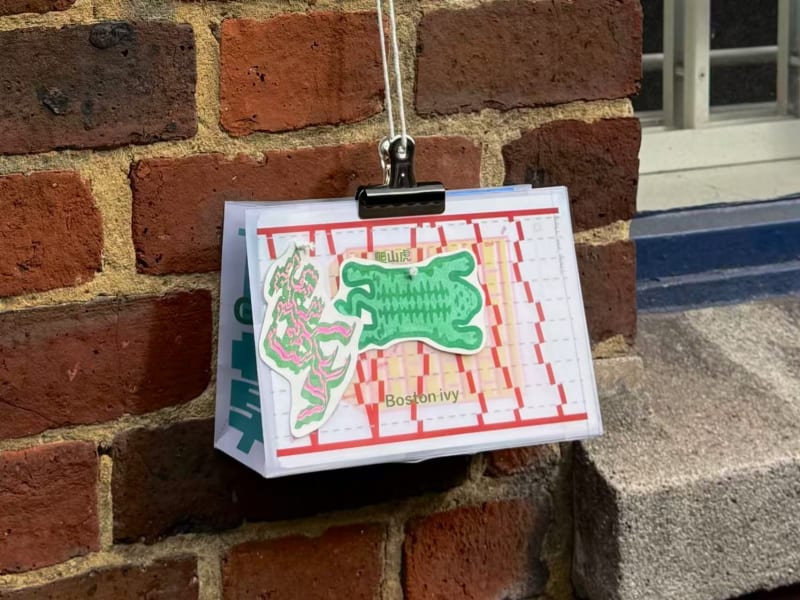 RISO print work + polyester paper bag