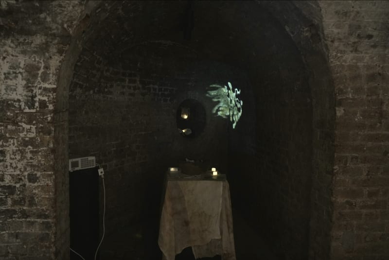 Installation shot from the ‘Walls of Anubis’ exhibition at the Crypt Gallery) Mixed media installation consisting of a rat wax sculpture embedded with