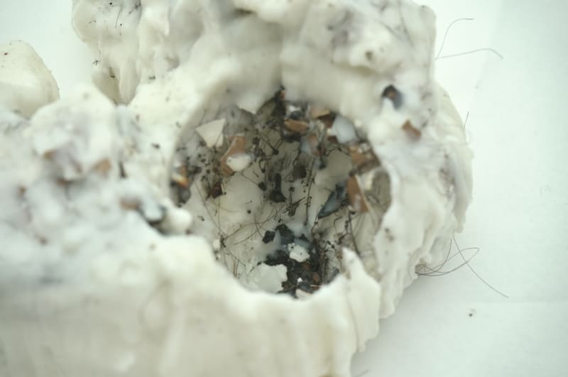 image from the project 