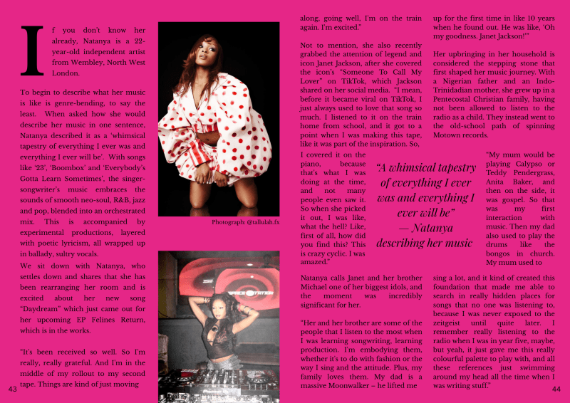 Profile piece on music artist Natanya page.