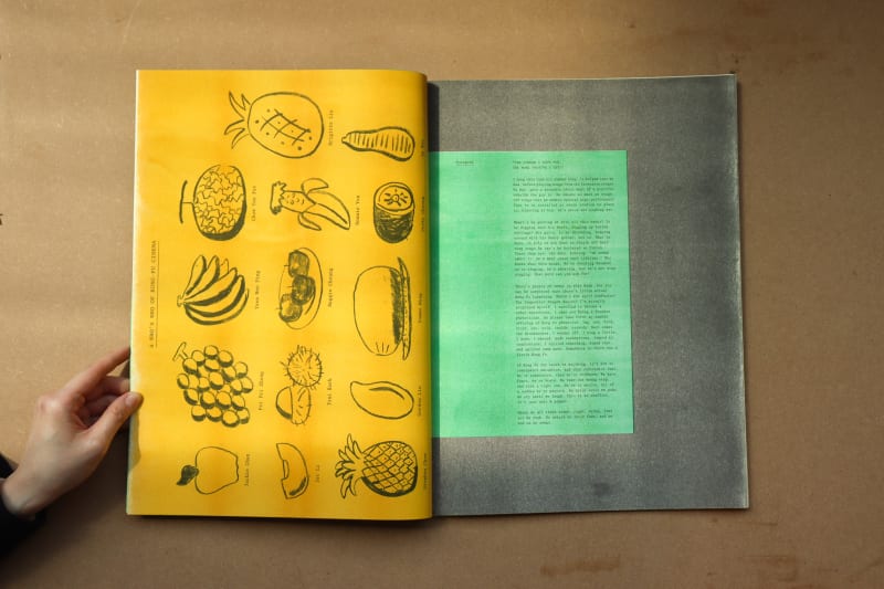 A page of a book, where a range of fruit drawings are labelled