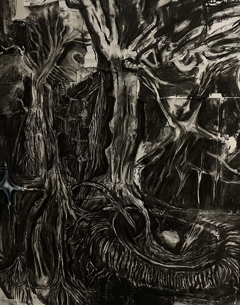 charcoal drawings