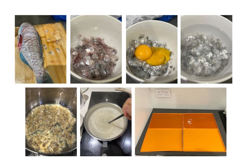A page with my fish scale bioplastic making process, starting from cleaning the scales, to boiling, then drying.
