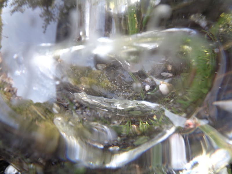 perfume glass bottle 