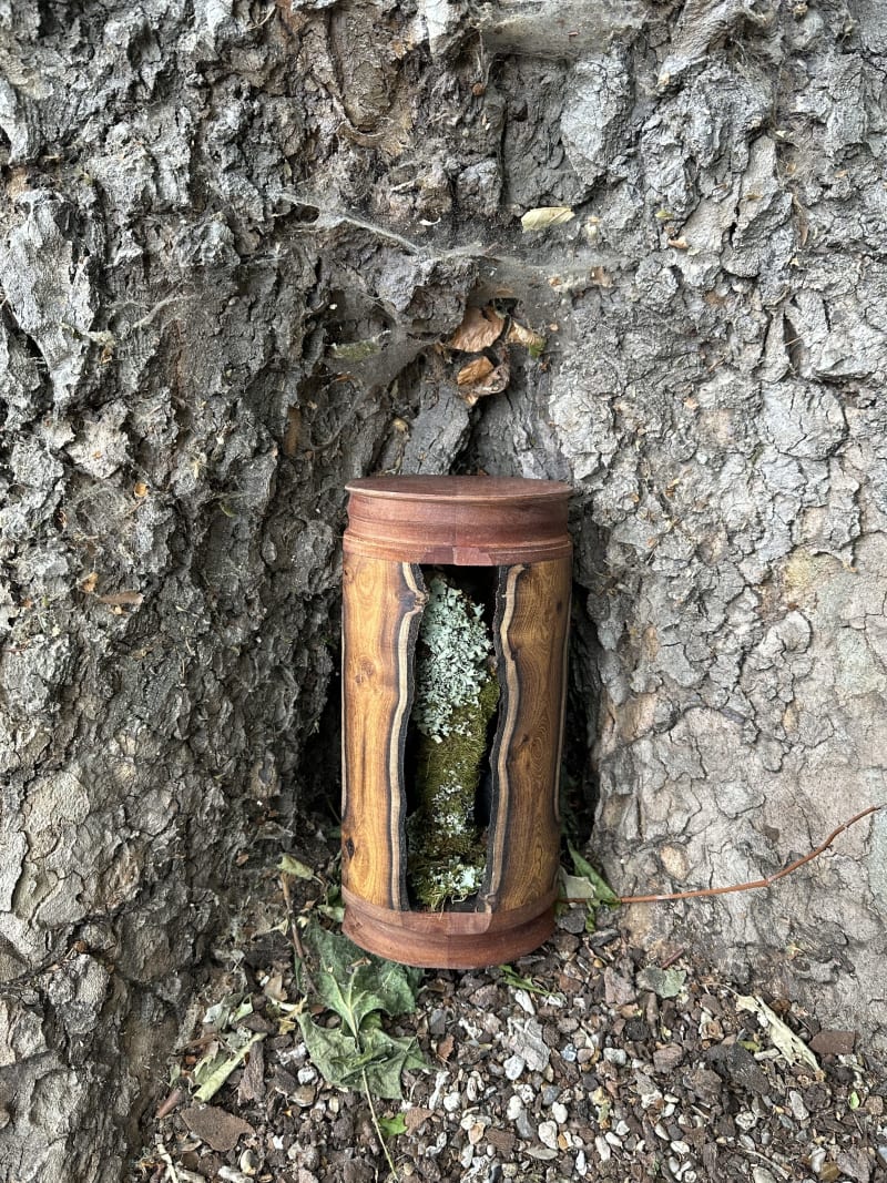 ASHBORN Oudoor