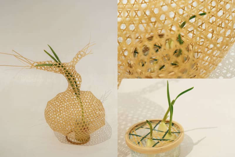 REgrow,2025,Planting
