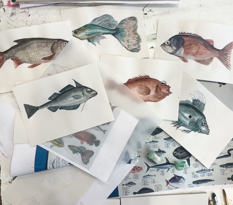 paintings of fish on A4 paper on a table