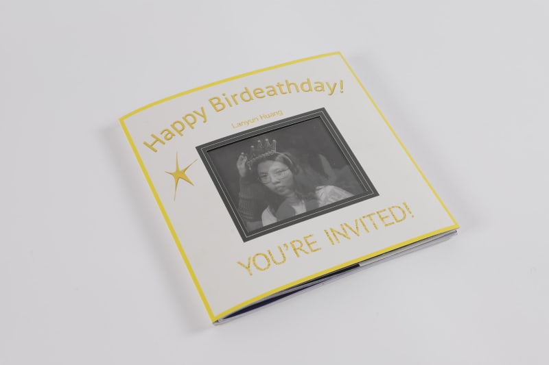 This 56-page book is a performance archive documenting an intervention in a social space