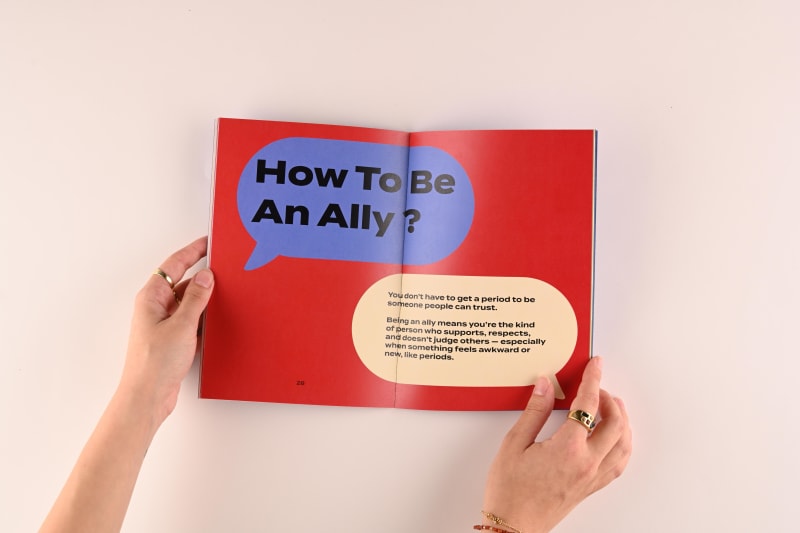 Ally Guide page 