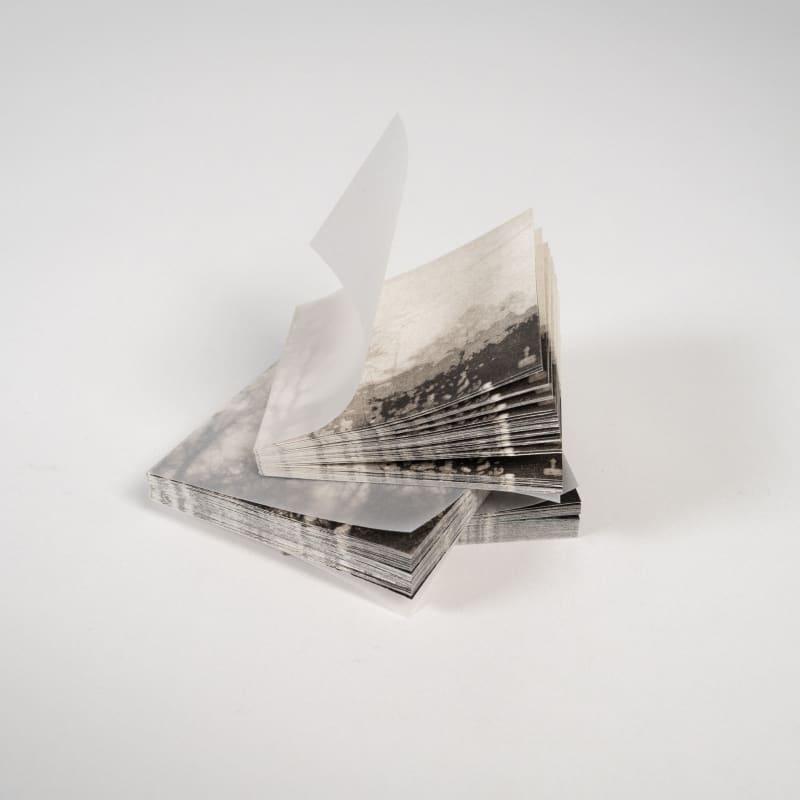 Image of books.