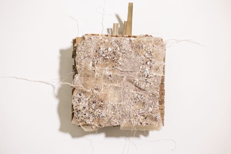 Bio textile with embellished oyster shells.