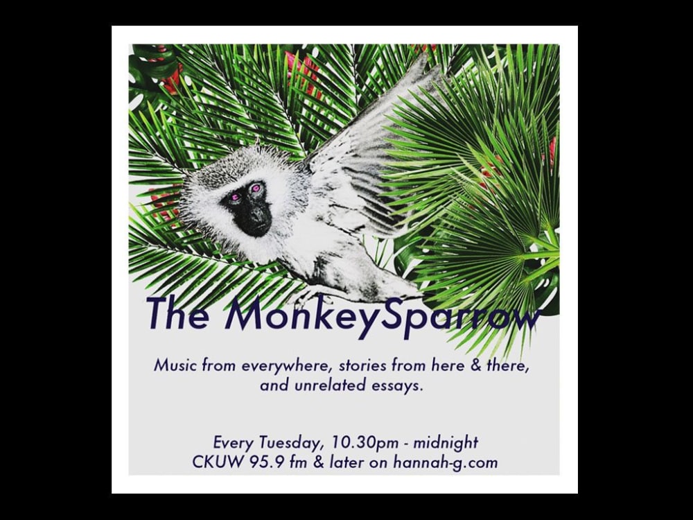 a flyer for 'the monkey sparrow' with an image of a monkey in a palm tree