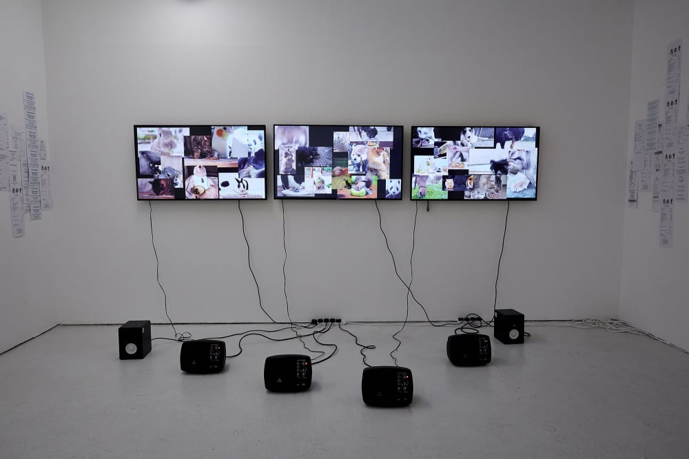 Three large TVs are positioned on the wall next to each other. Displayed on each screen is an overlay of images of animals. Two wires from each TV hang down onto the floor and connect to black speakers. 