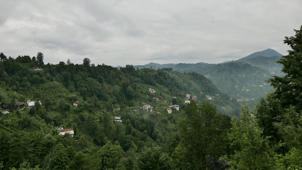 Film still of a tea farm.