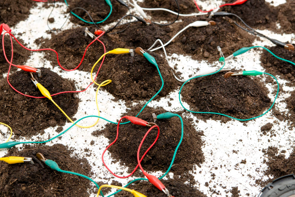 Wires connecting small piles of soil