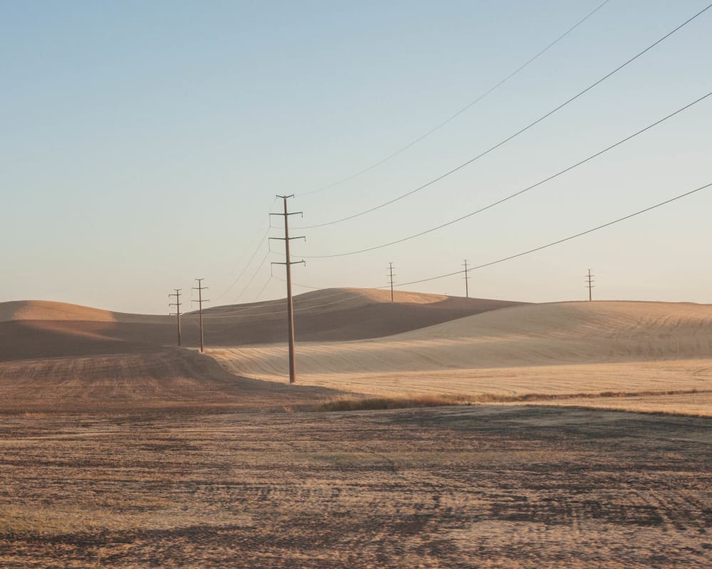 Image from Chris Bethell's series The Duke of Earl