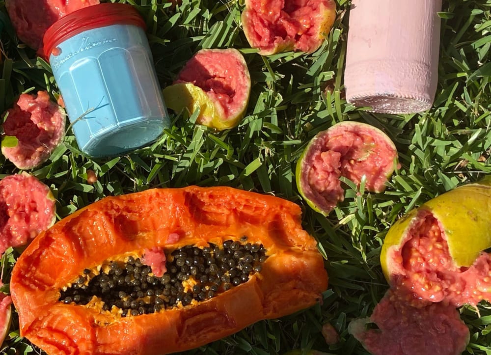 A photograph of papayas and brightly coloured jars on the grass.