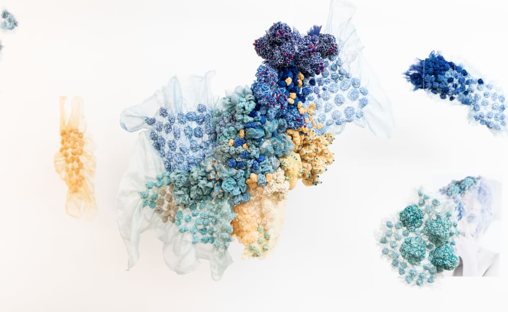 Installation by Sarah Trowsdale with different types of fabric hanging from the wall