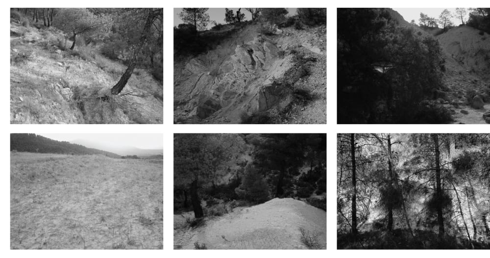 grid of black and white photos