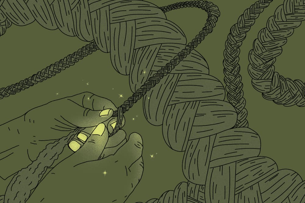 An illustration of hands and braided hair on a green background. 