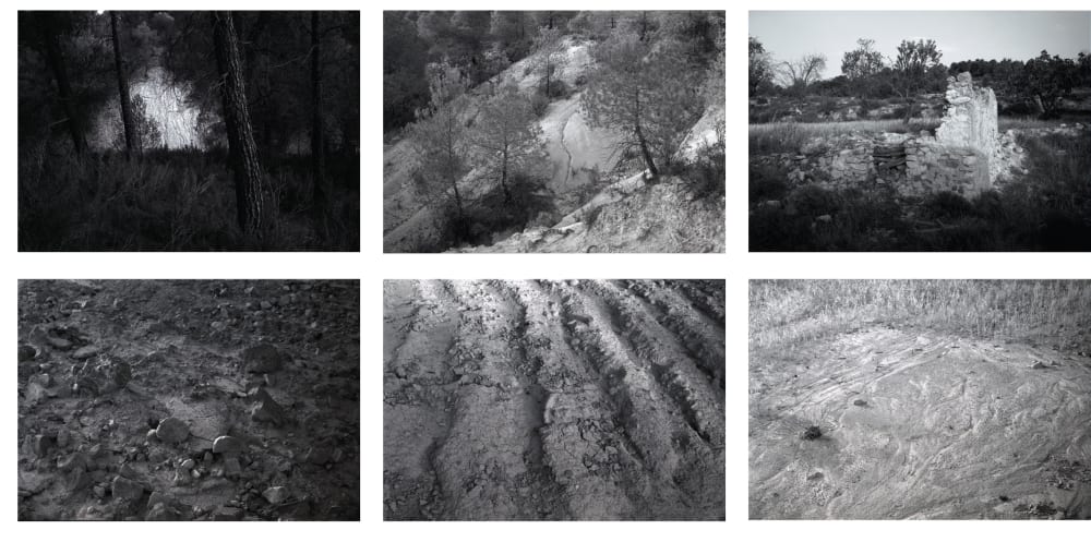 grid of black and white photos