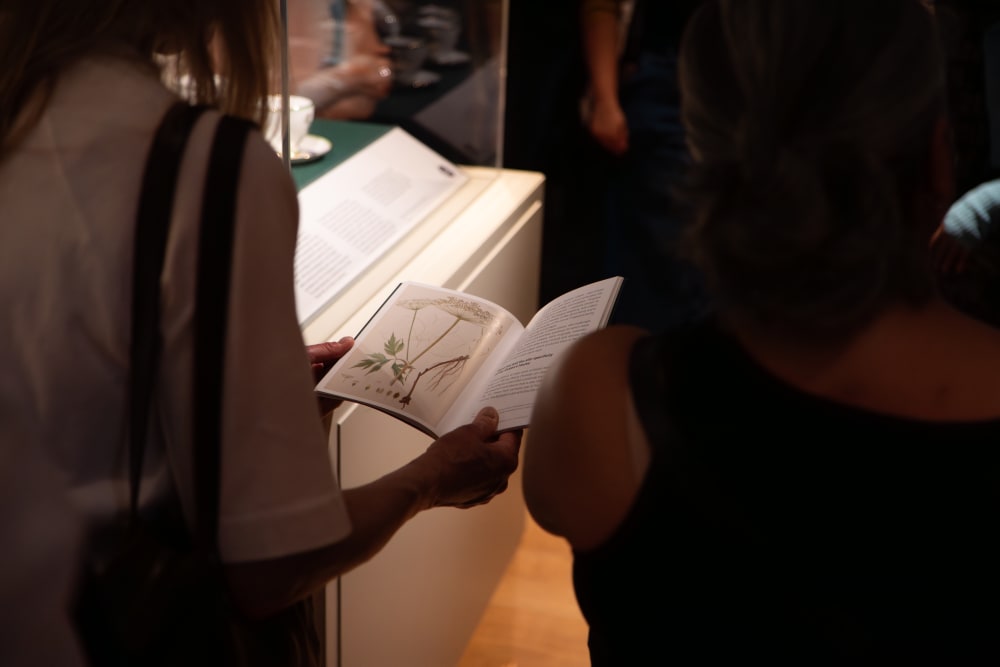 close-up on the exhibition booklet