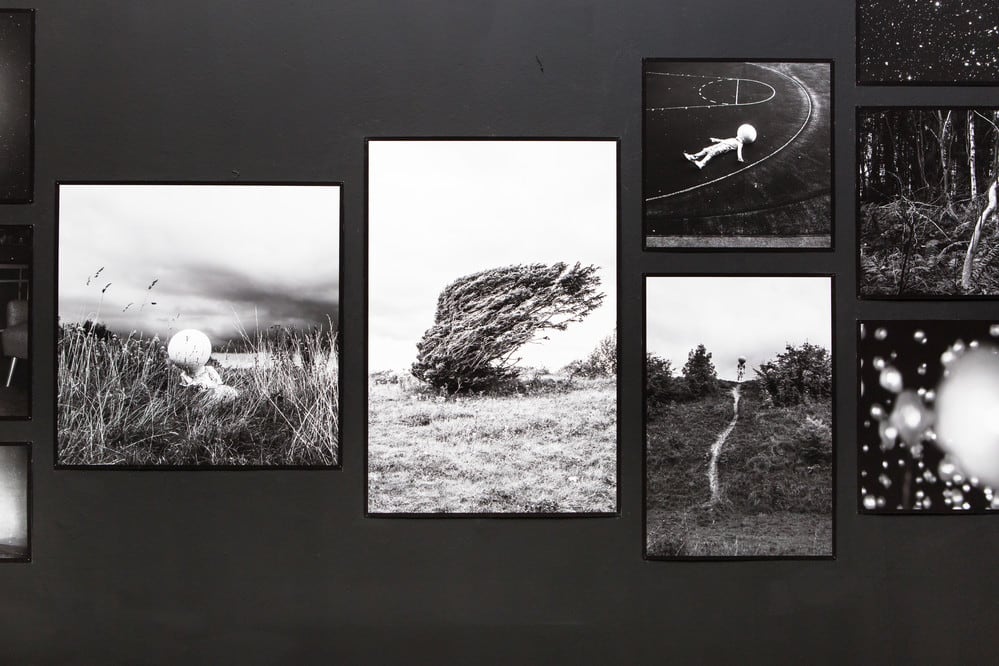A collection of black and white nature photographs featuring a small figurine hung on a black wall
